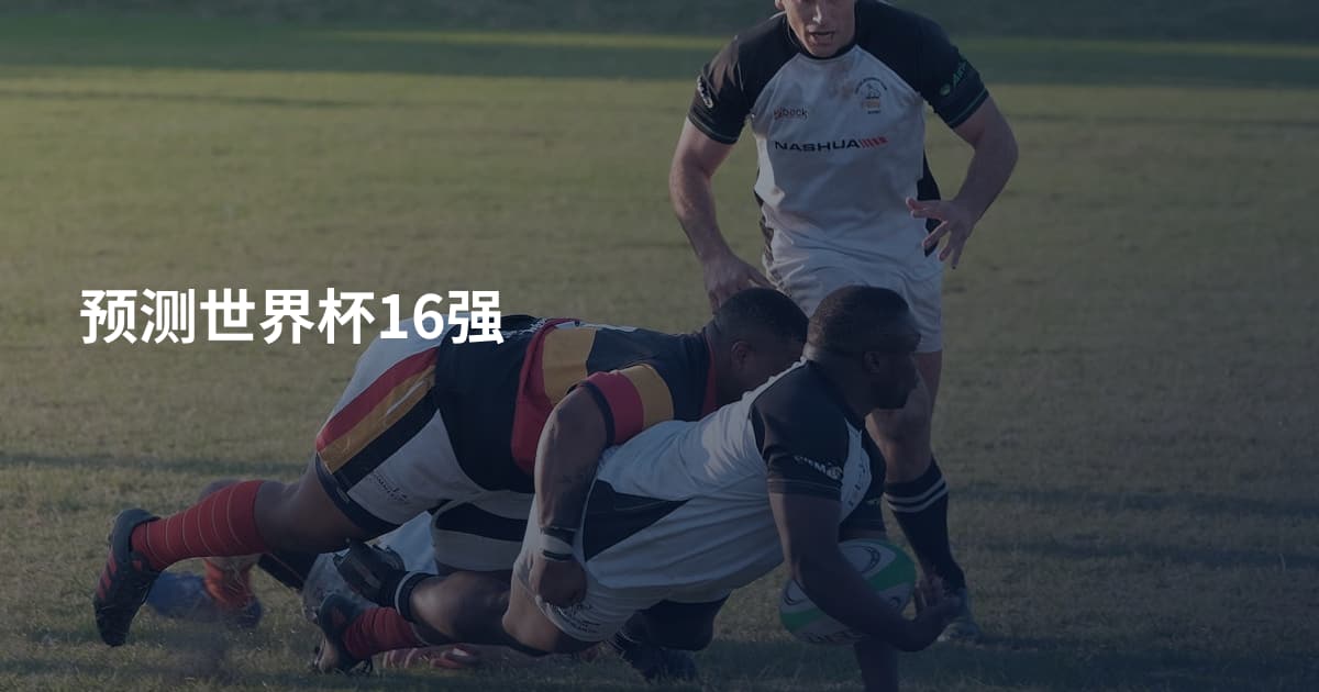 预测世界杯16强
