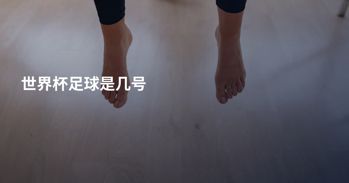 世界杯足球是几号