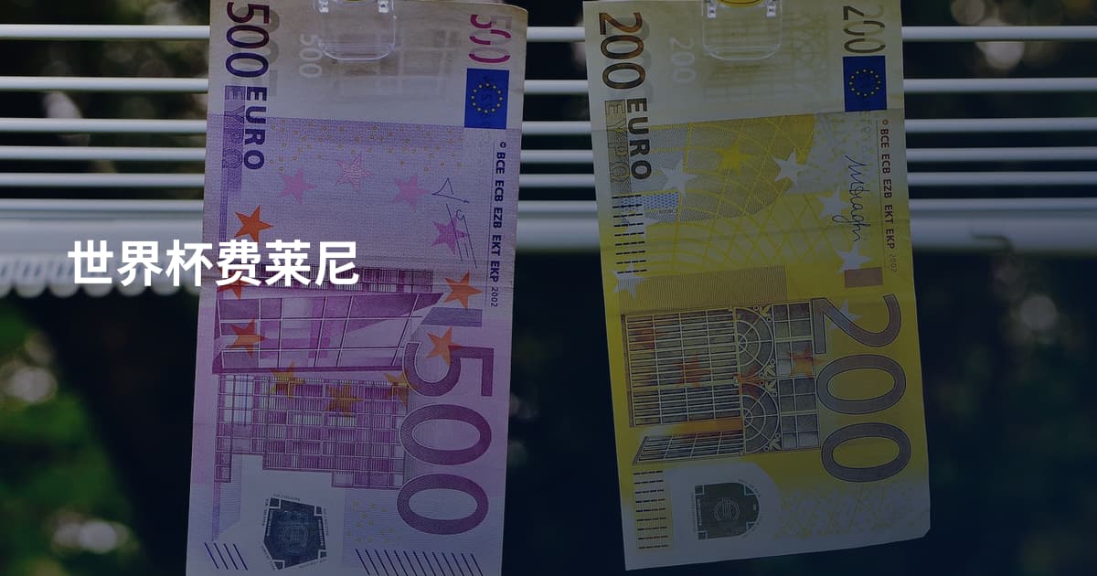 世界杯费莱尼