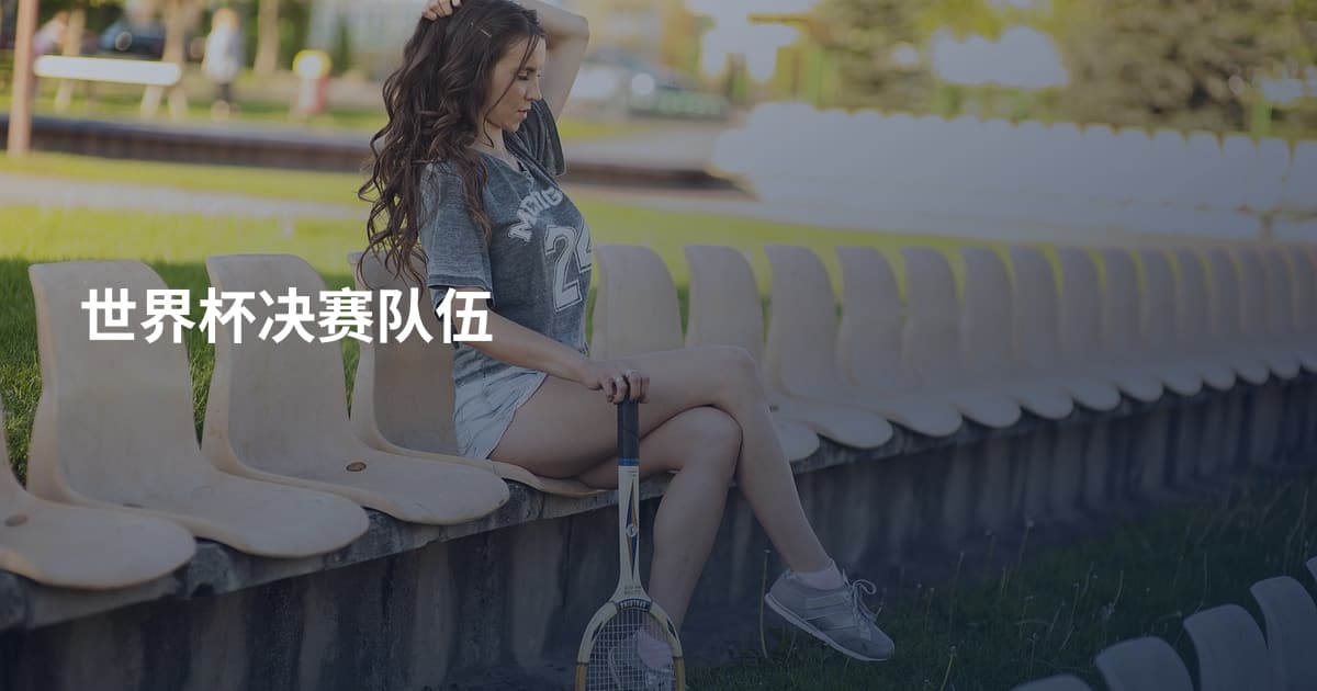 世界杯决赛队伍