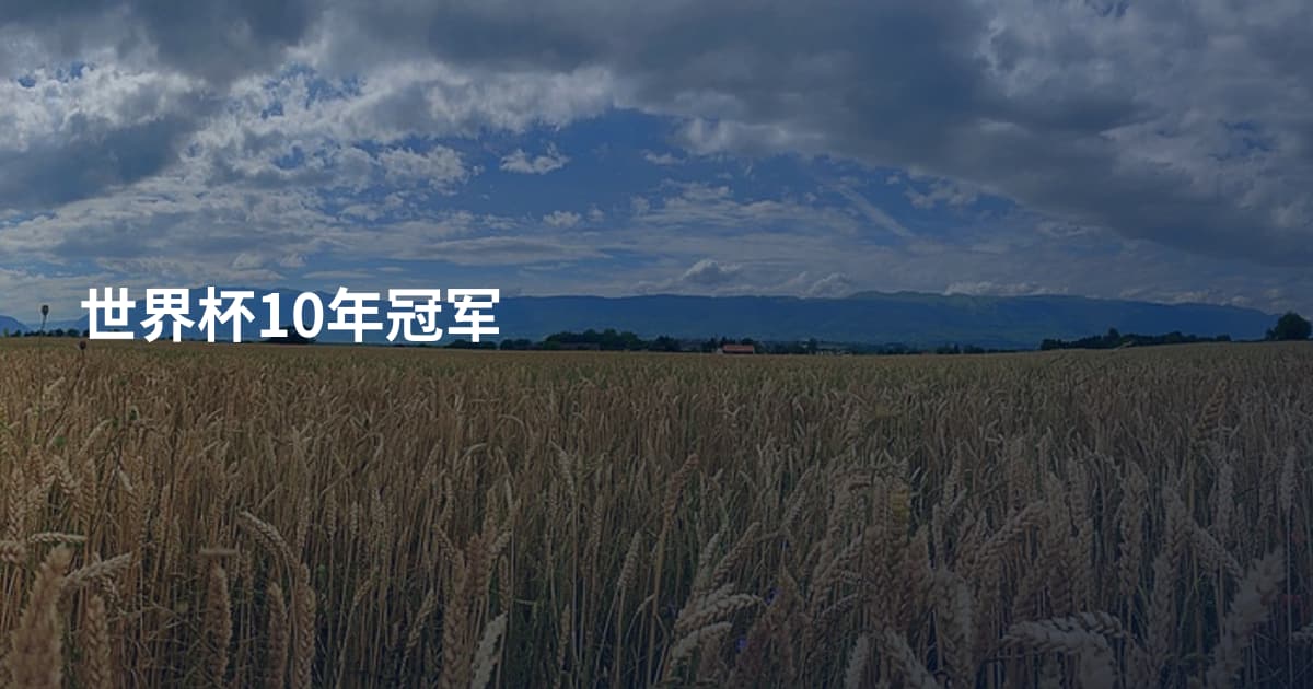 世界杯10年冠军