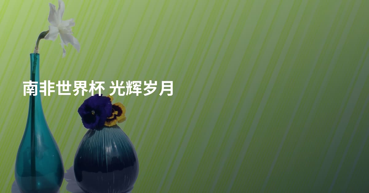 南非世界杯 光辉岁月