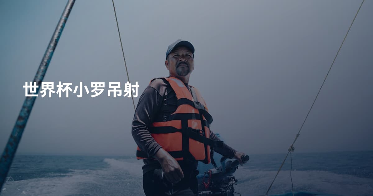 世界杯小罗吊射