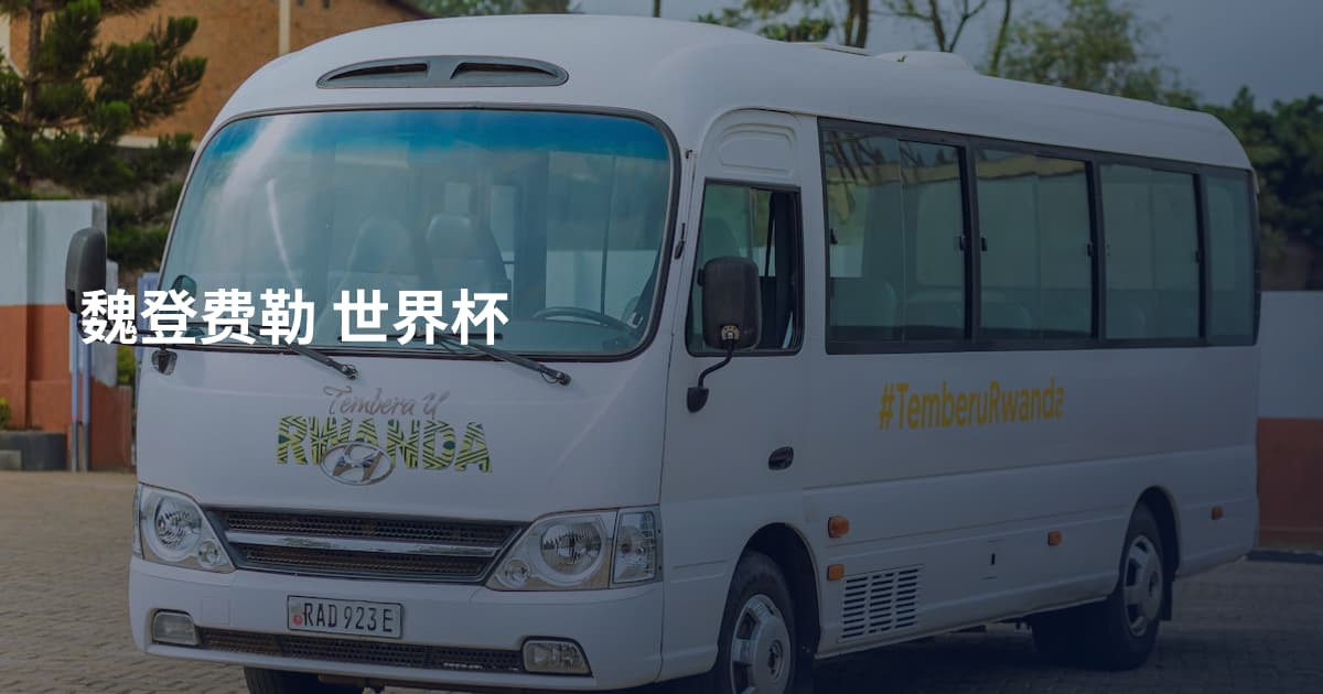 魏登费勒 世界杯