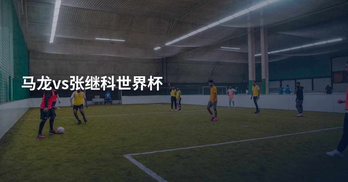 马龙vs张继科世界杯