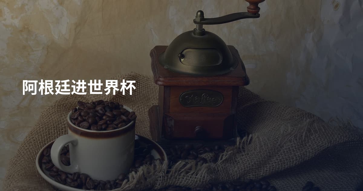 阿根廷进世界杯