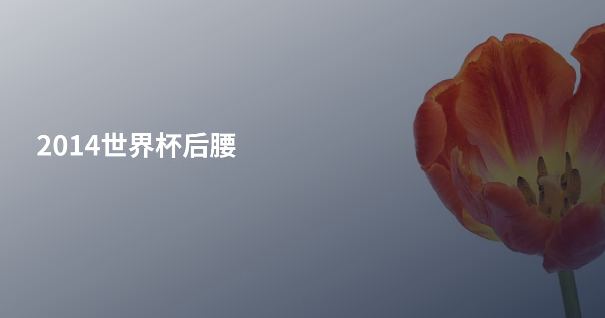 2014世界杯后腰