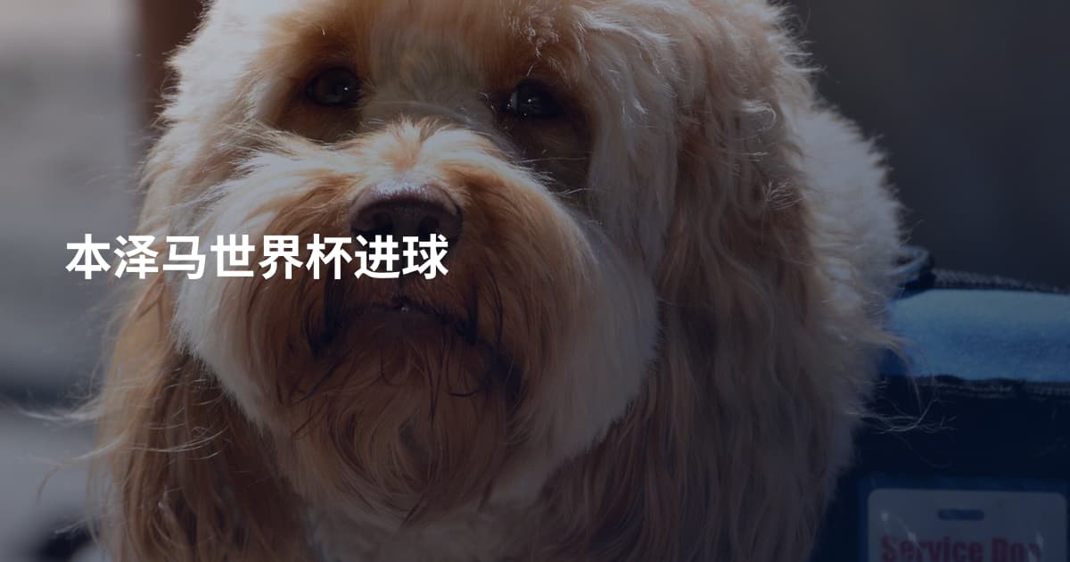 本泽马世界杯进球
