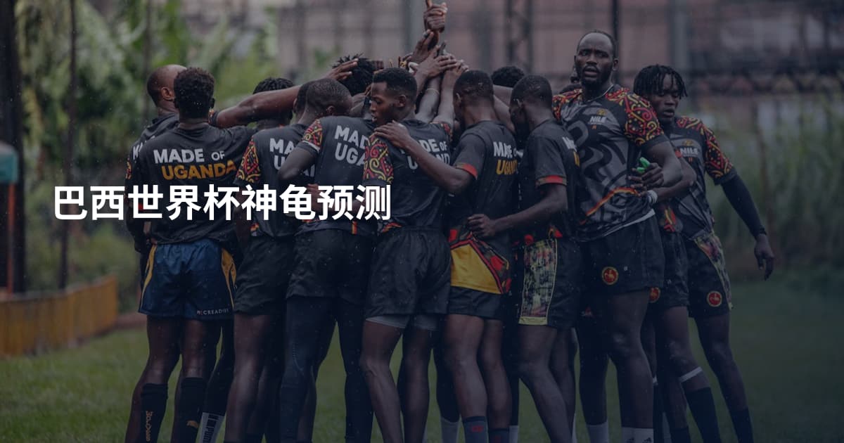 巴西世界杯神龟预测