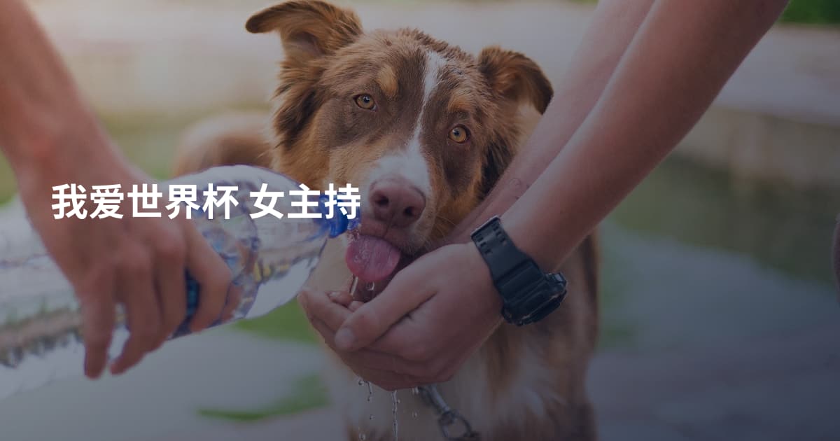 我爱世界杯 女主持