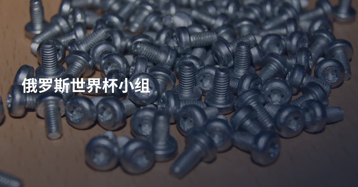 俄罗斯世界杯小组