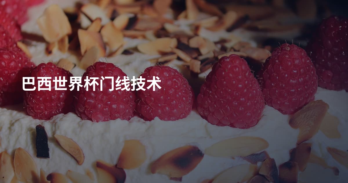 巴西世界杯门线技术