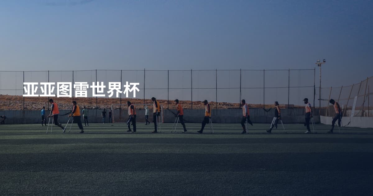 亚亚图雷世界杯
