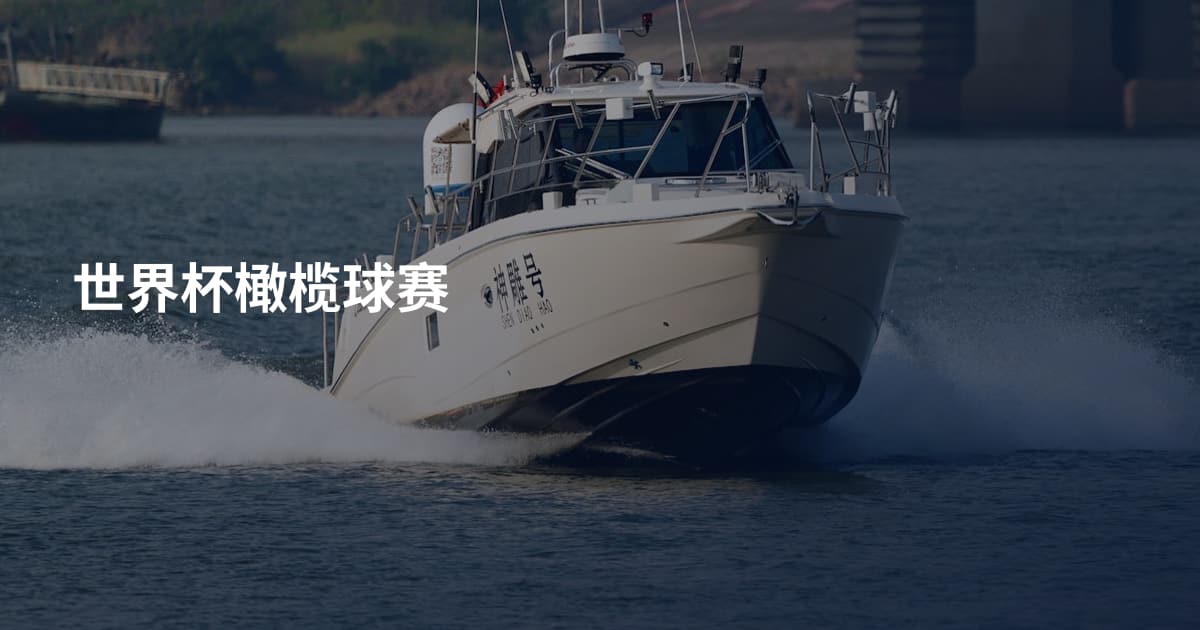 世界杯橄榄球赛