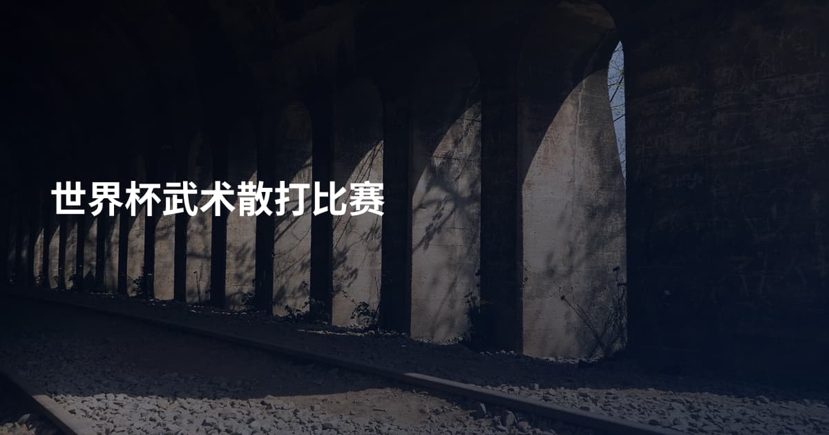 世界杯武术散打比赛