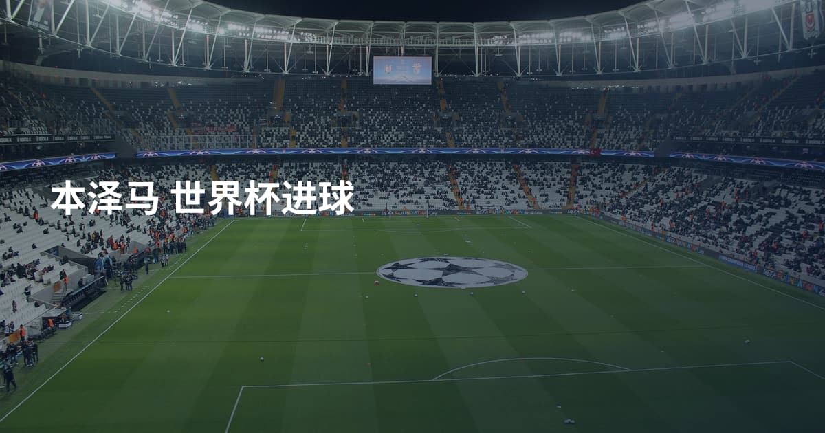 本泽马 世界杯进球