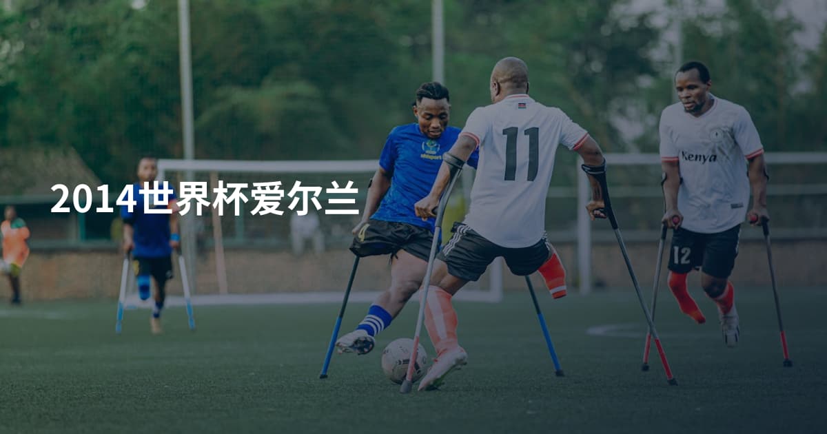 2014世界杯爱尔兰