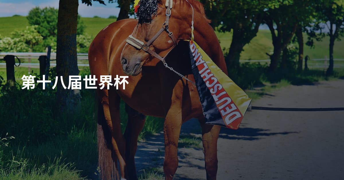 第十八届世界杯