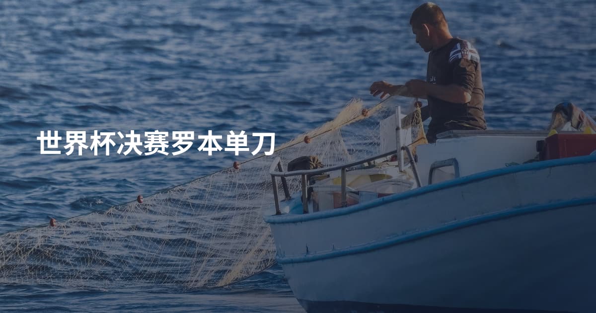 世界杯决赛罗本单刀