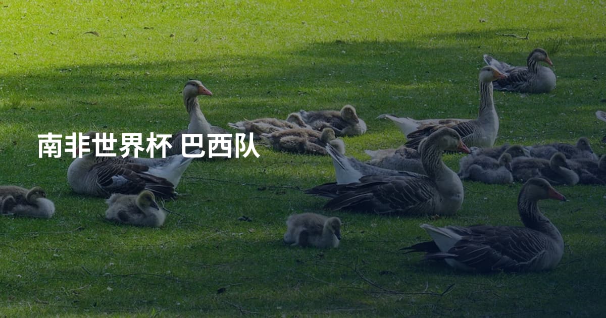 南非世界杯 巴西队