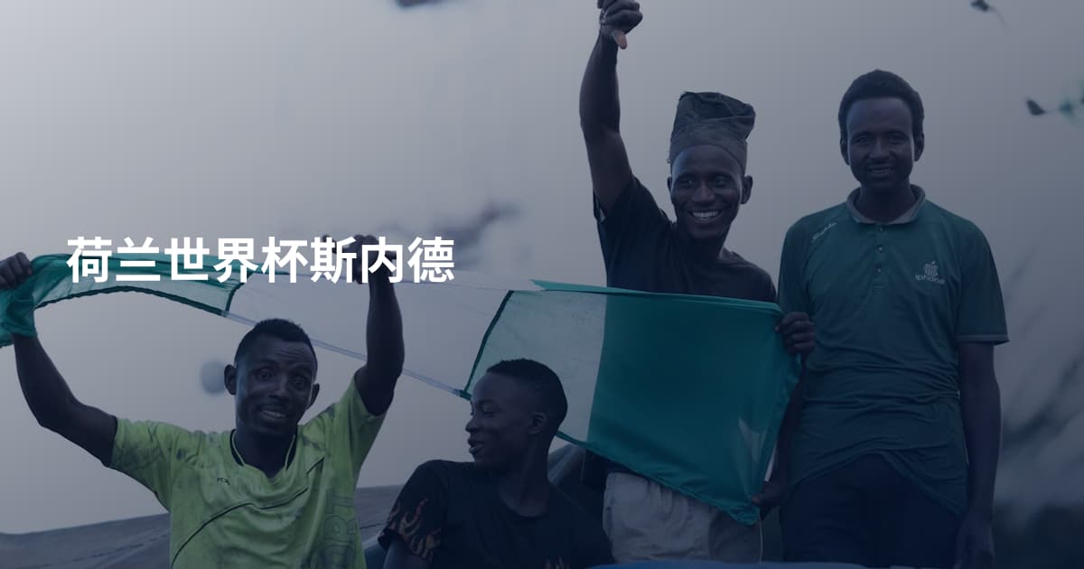 荷兰世界杯斯内德