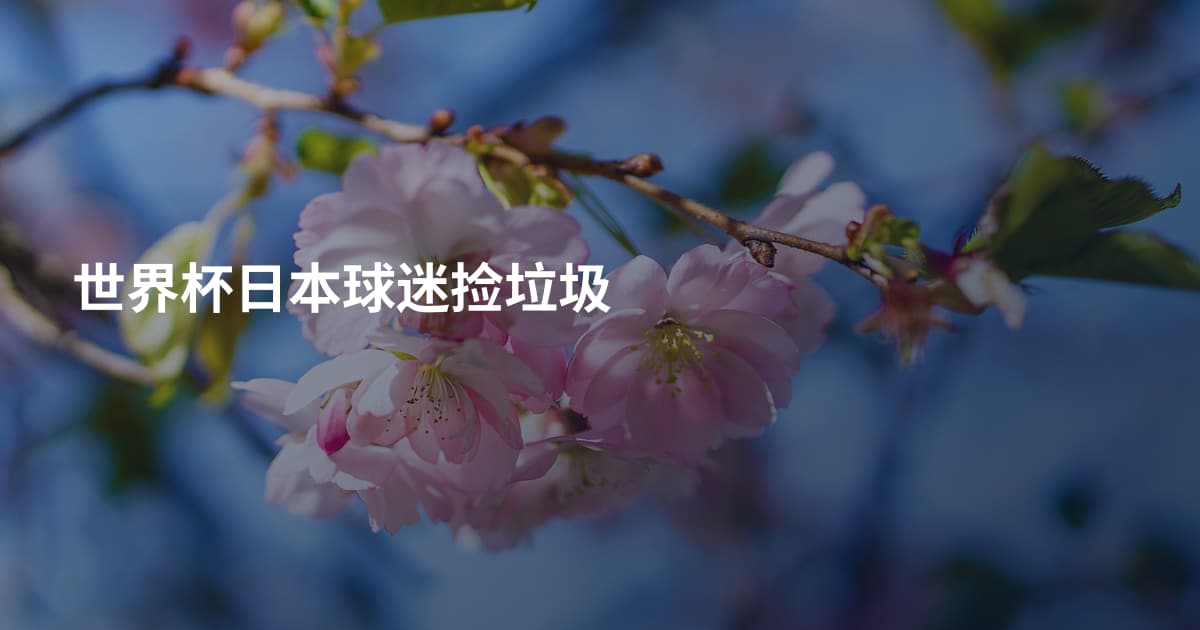 世界杯日本球迷捡垃圾
