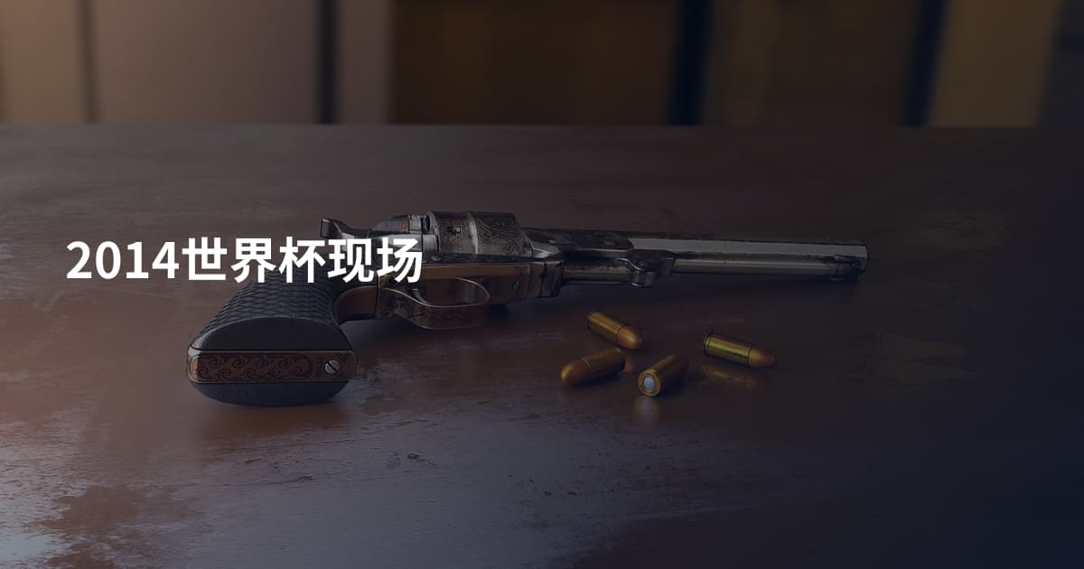 2014世界杯现场