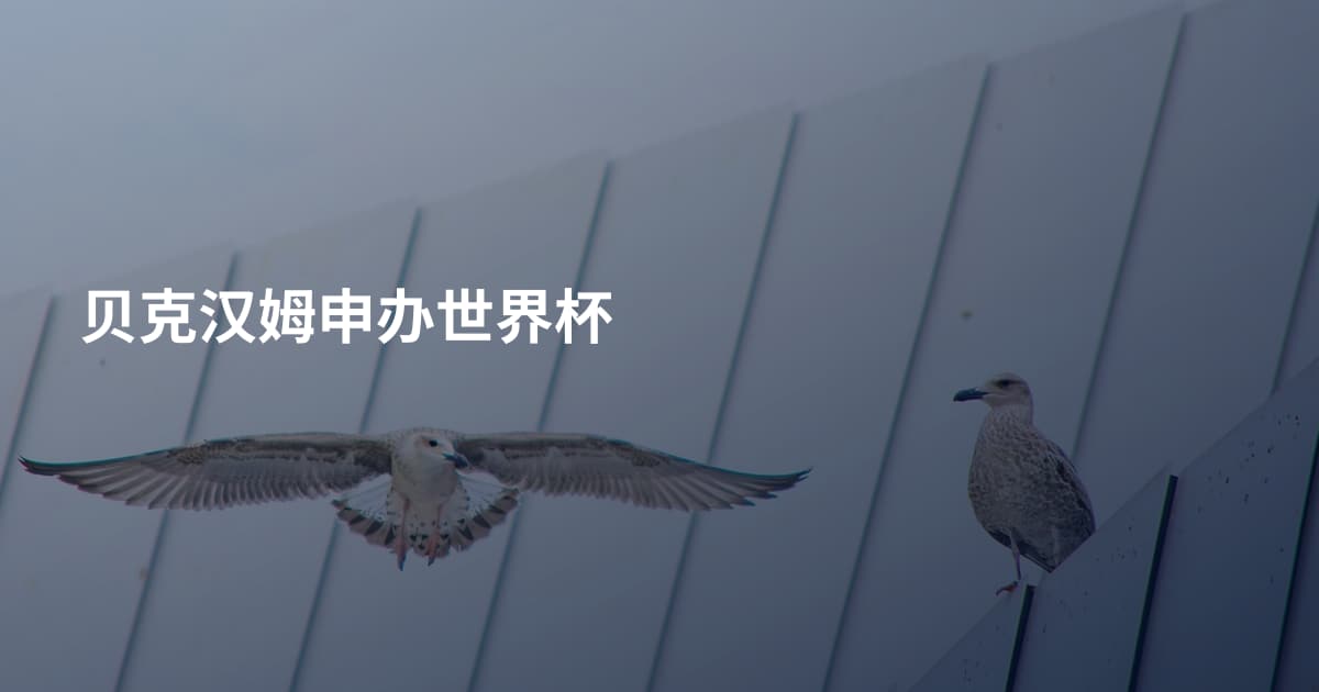贝克汉姆申办世界杯