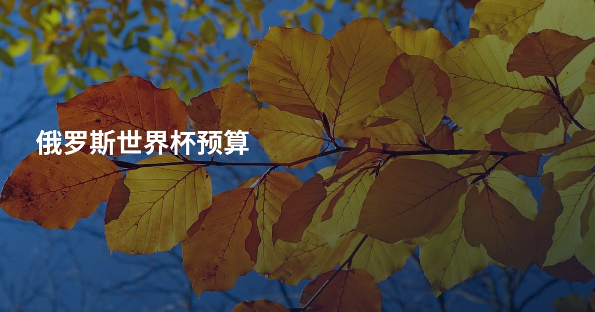 俄罗斯世界杯预算