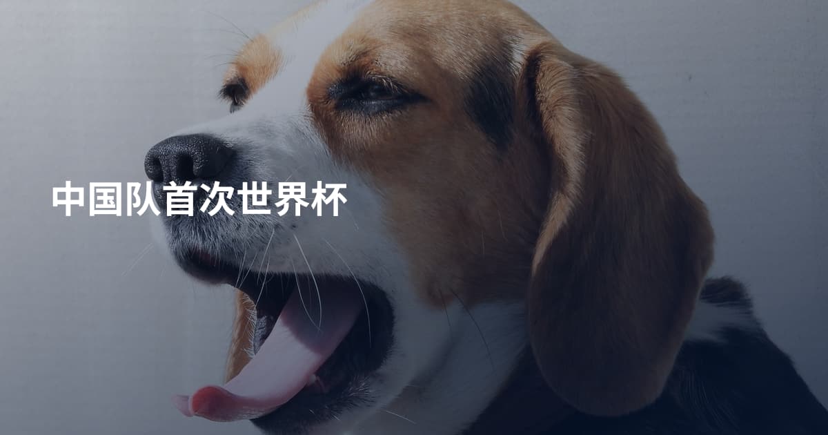 中国队首次世界杯