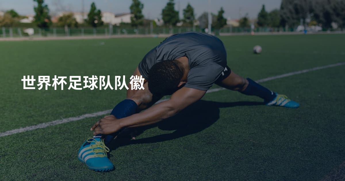 世界杯足球队队徽
