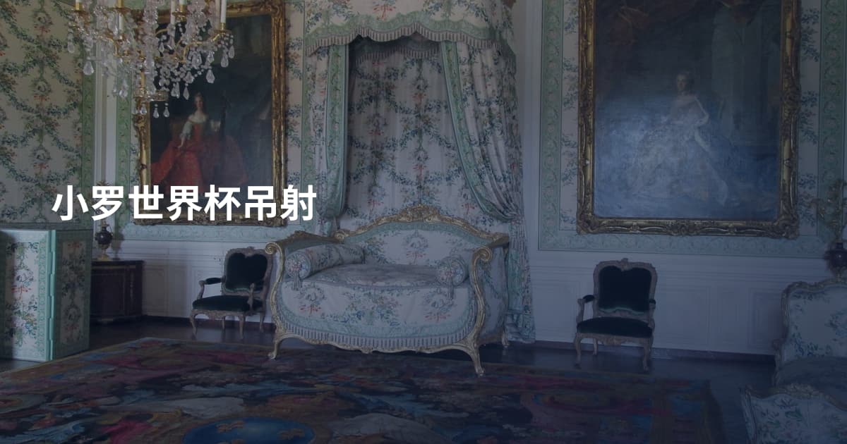 小罗世界杯吊射