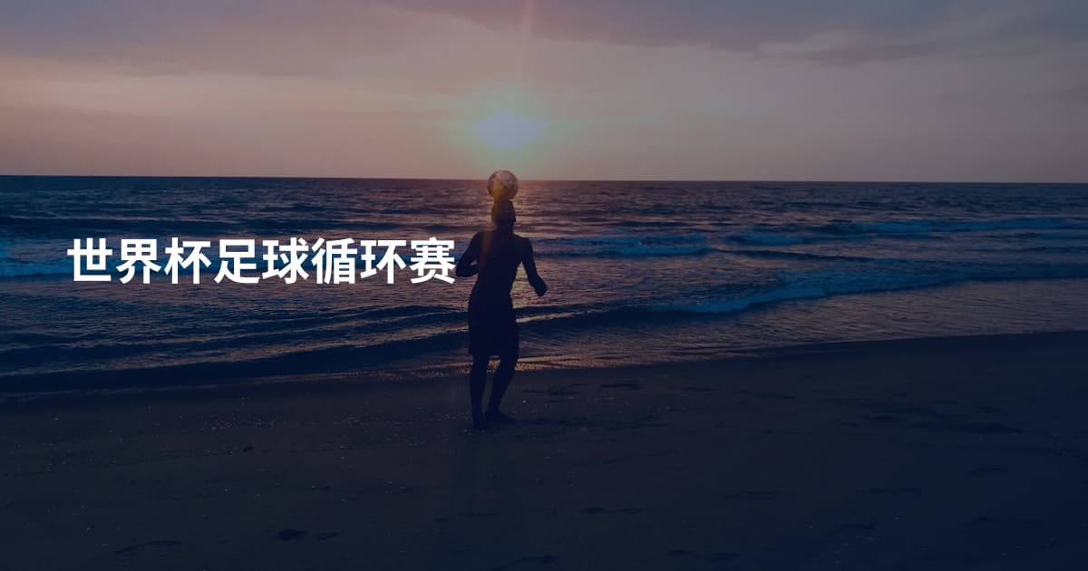 世界杯足球循环赛