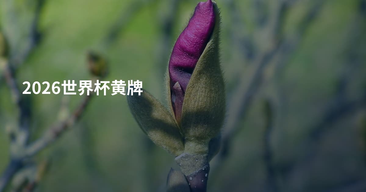 2026世界杯黄牌