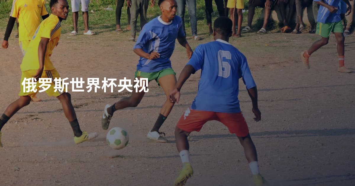 俄罗斯世界杯央视