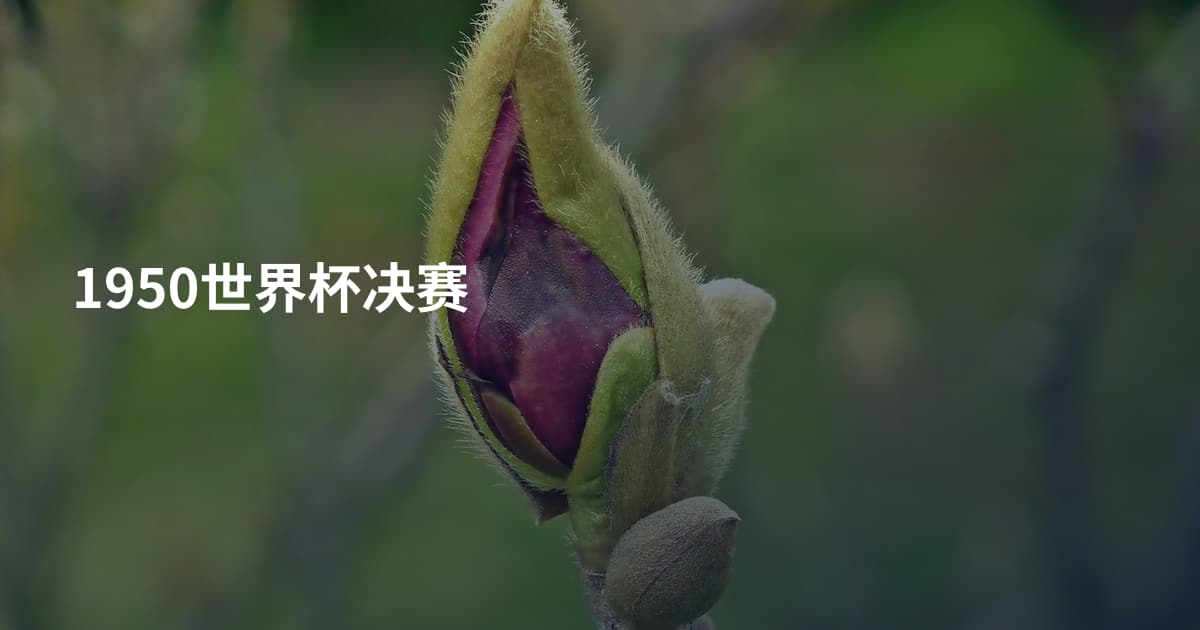1950世界杯决赛