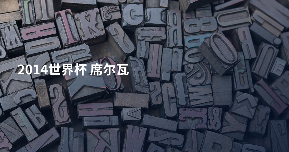 2014世界杯 席尔瓦