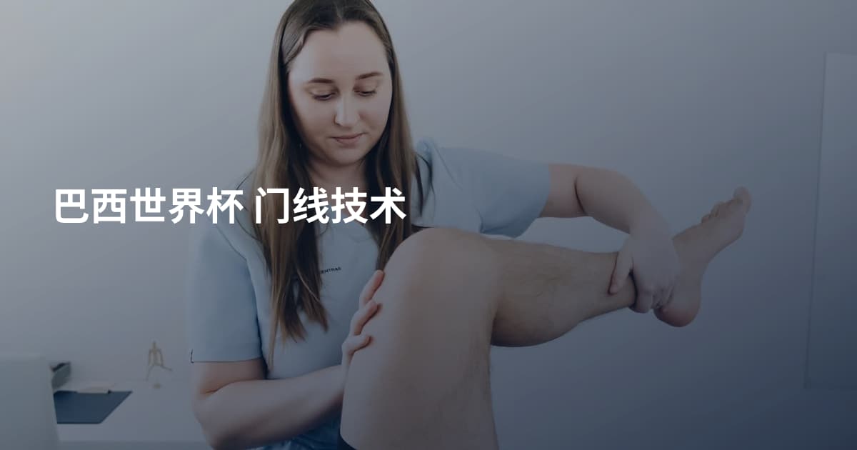 巴西世界杯 门线技术