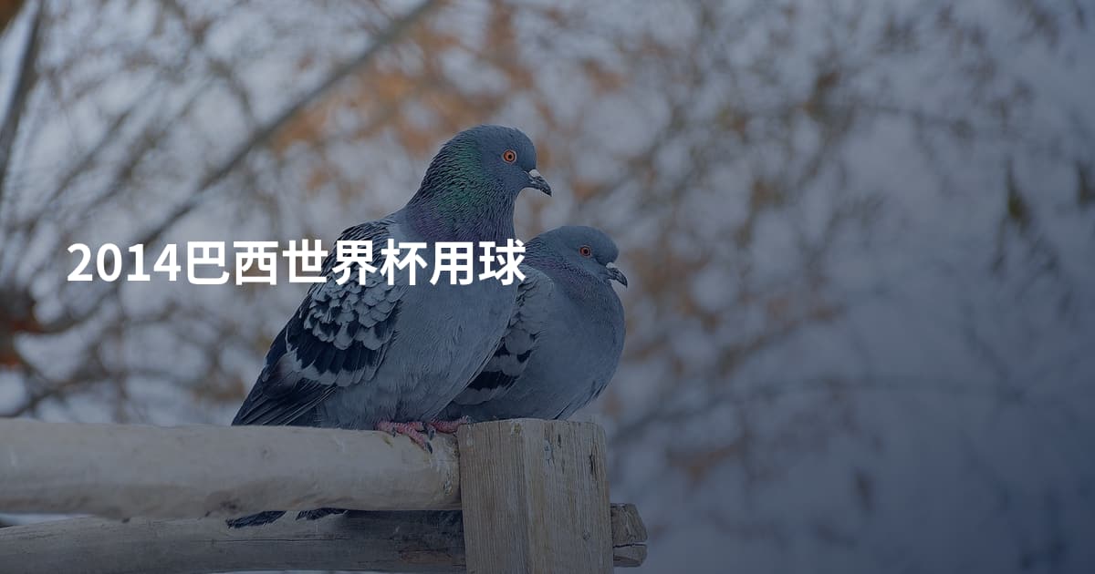 2014巴西世界杯用球