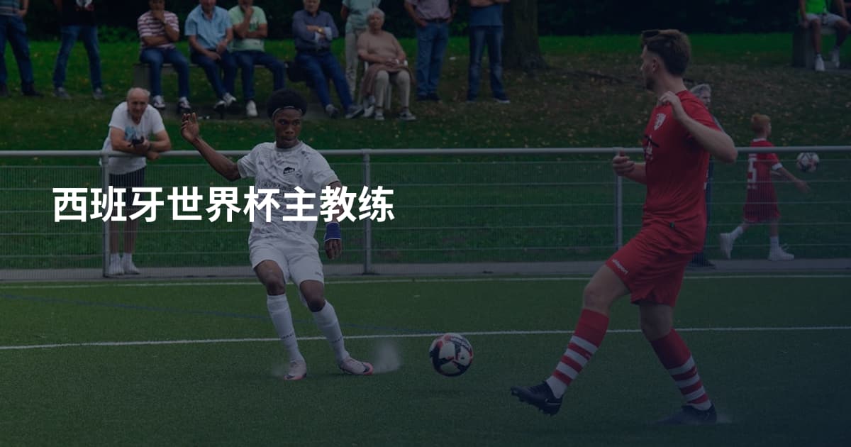 西班牙世界杯主教练