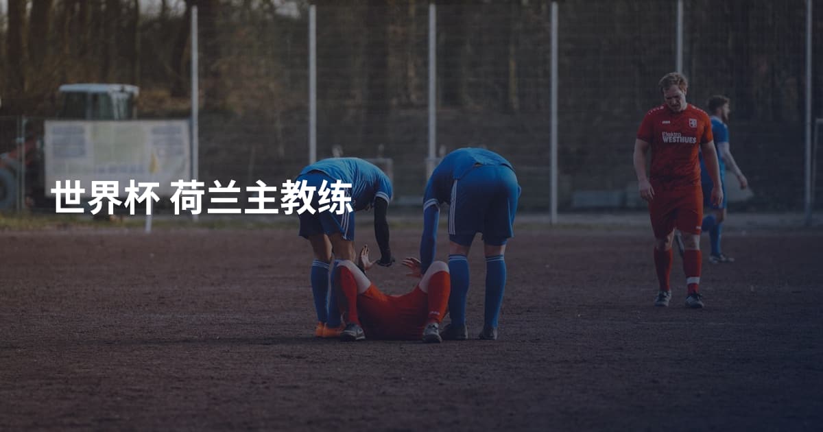 世界杯 荷兰主教练