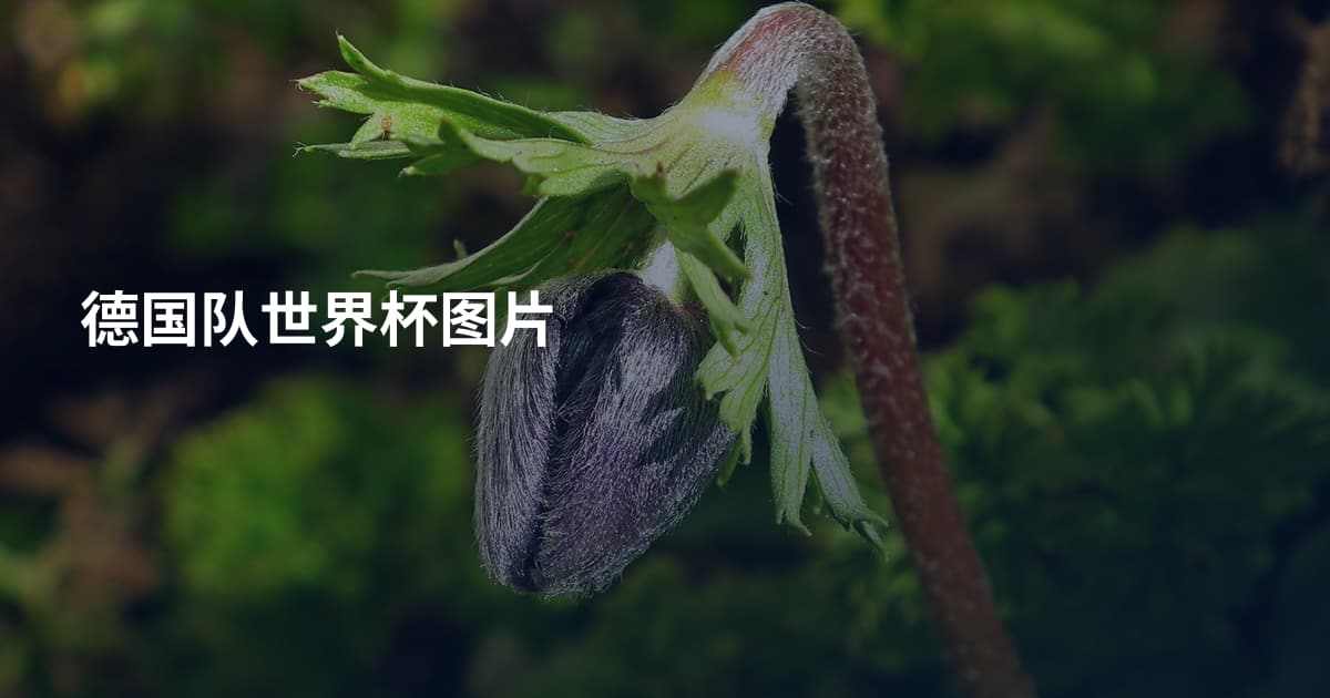 德国队世界杯图片