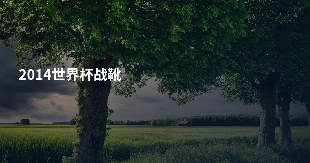 2014世界杯战靴