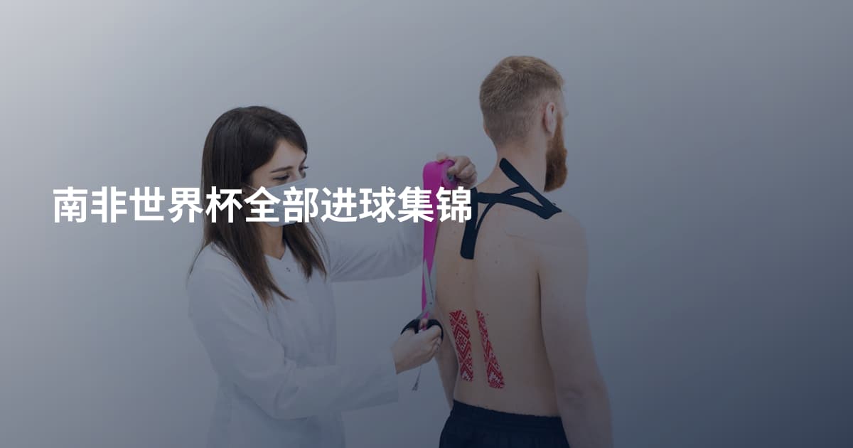 南非世界杯全部进球集锦