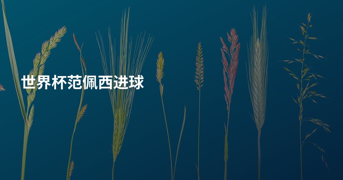 世界杯范佩西进球