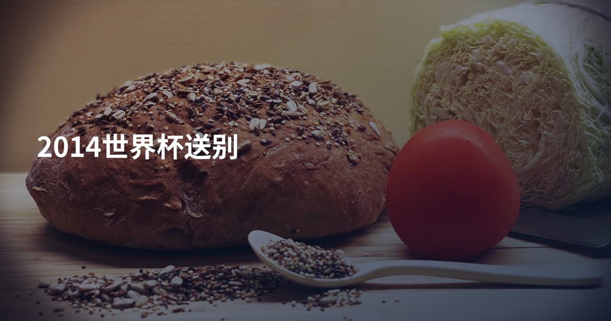 2014世界杯送别