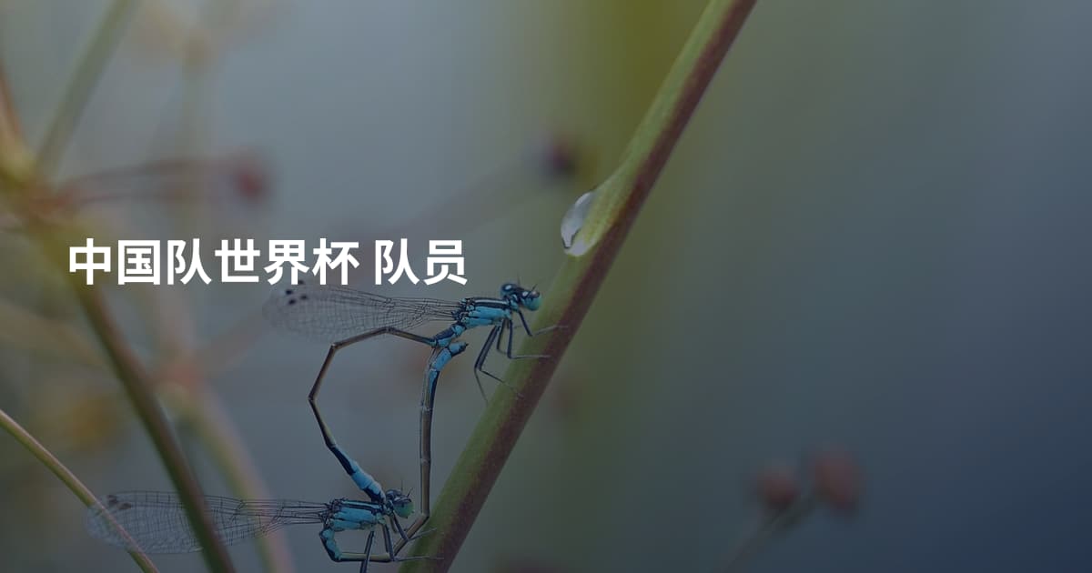 中国队世界杯 队员