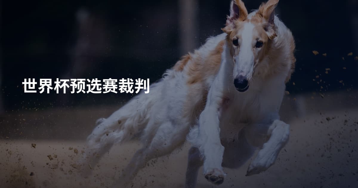 世界杯预选赛裁判
