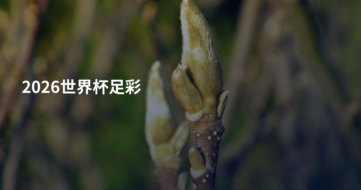 2026世界杯足彩