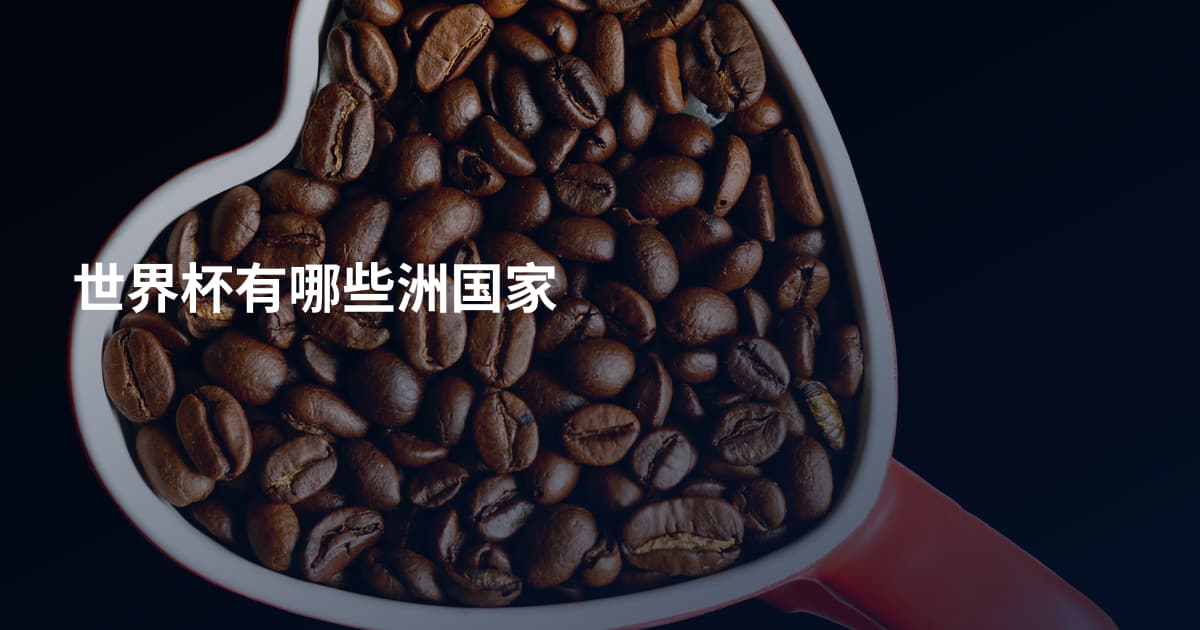 世界杯有哪些洲国家